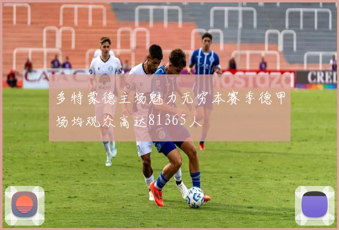 多特蒙德主场魅力无穷本赛季德甲场均观众高达81365人